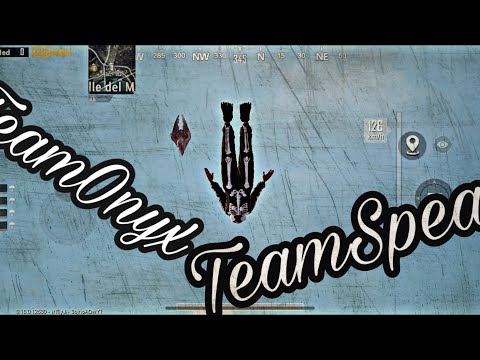 პირველად საქართველოში! - TEAM ONYX TeamSpeak #1